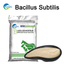 Probióticos aditivos para ração animal Bacillus subtilis com 20/50/100 bilhões